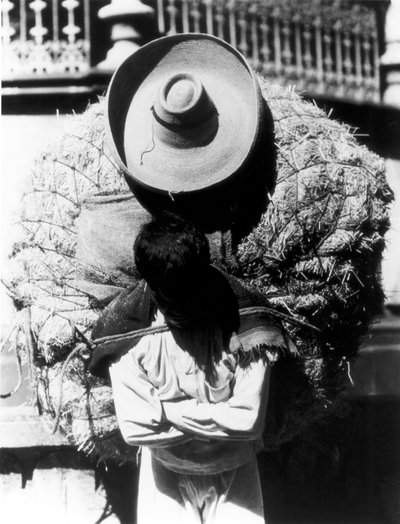 Campesino, State of Veracruz, Mexico, 1927 by Tina Modotti